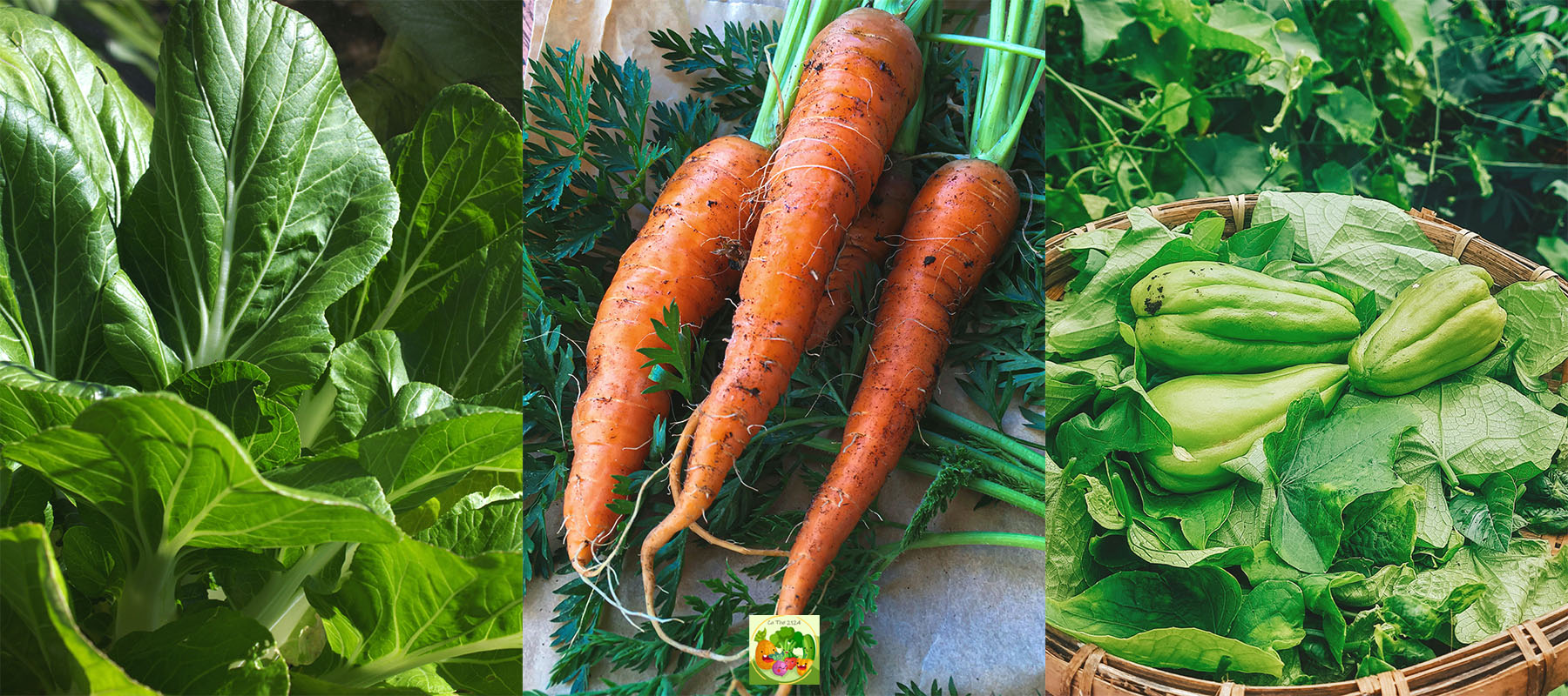 rau organic